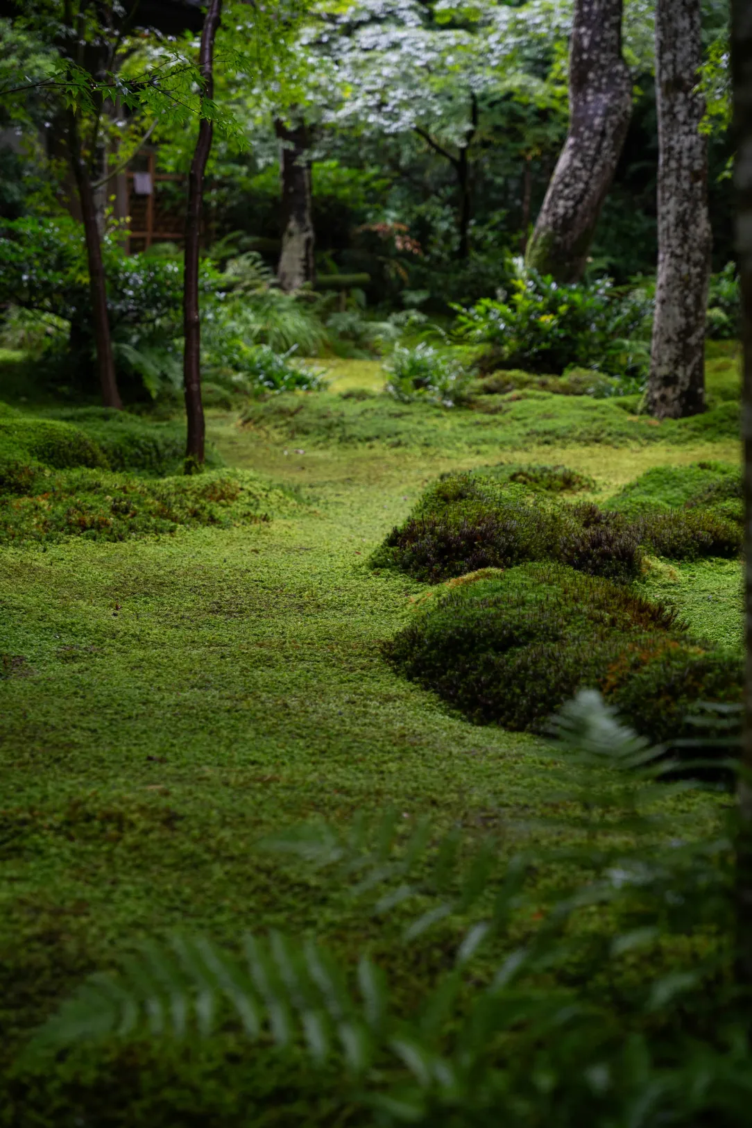 Contact form background image