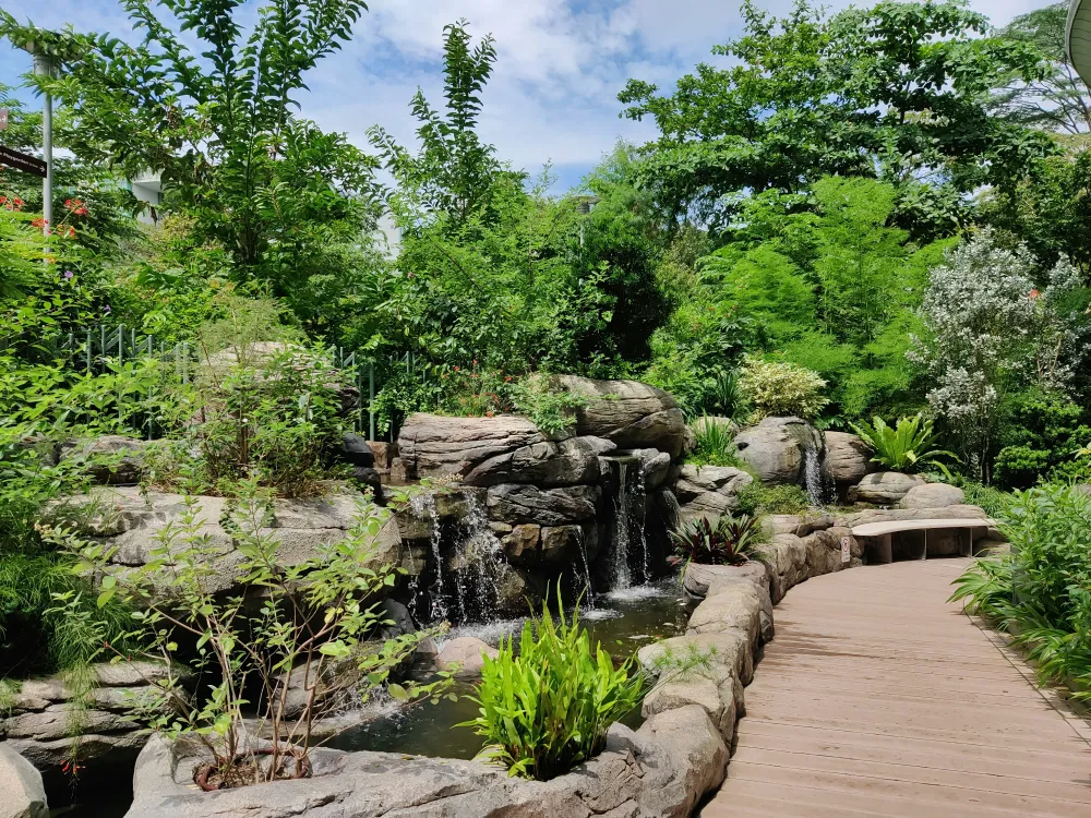 Gallery image 5 short