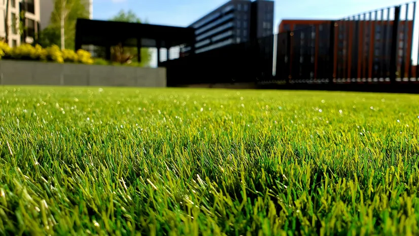 Perfectly striped green lawn maintained by Verdant Landscapes